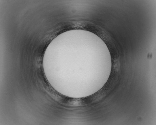 X0000110700514200907101224
