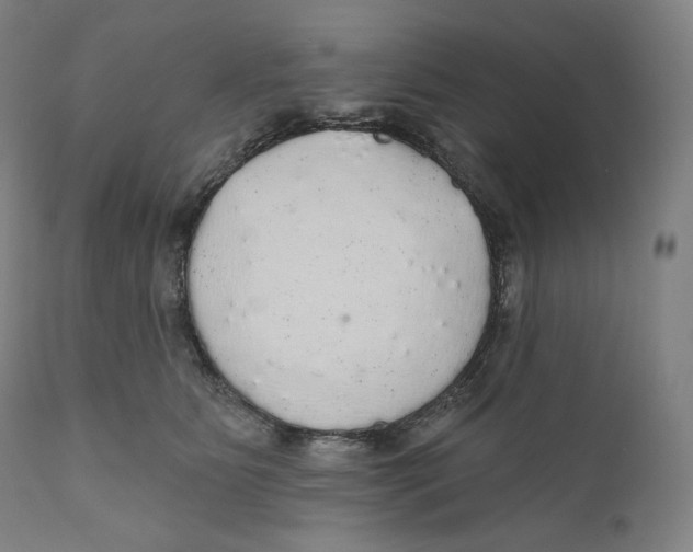 X0000110700515200907101224