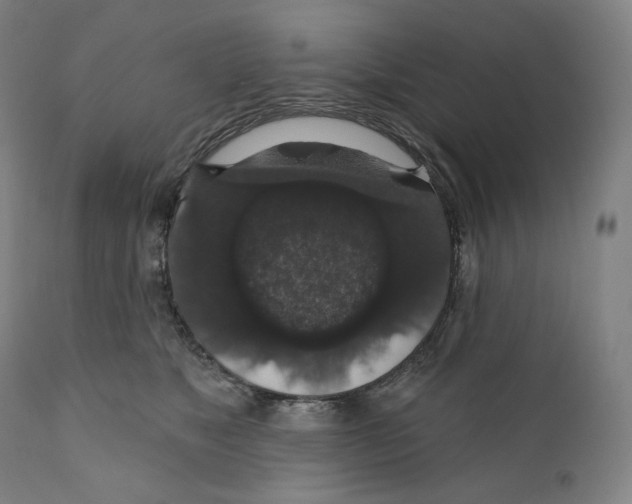 X0000110700517200907101224