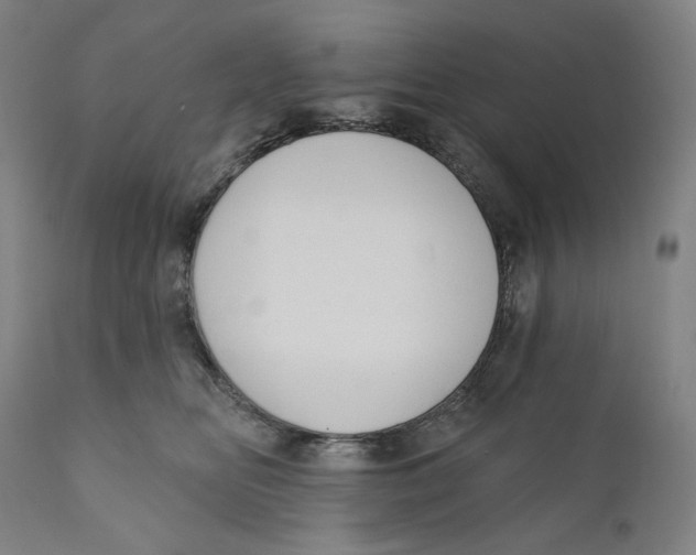 X0000110700518200907101224