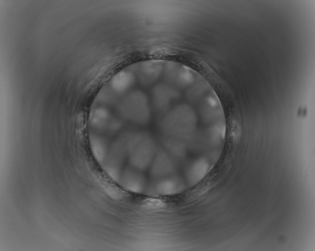 X0000110700519200907101224