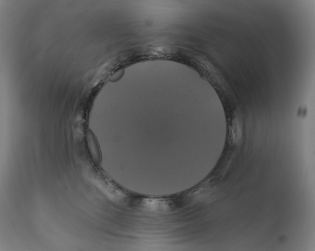 X0000110700520200907101224