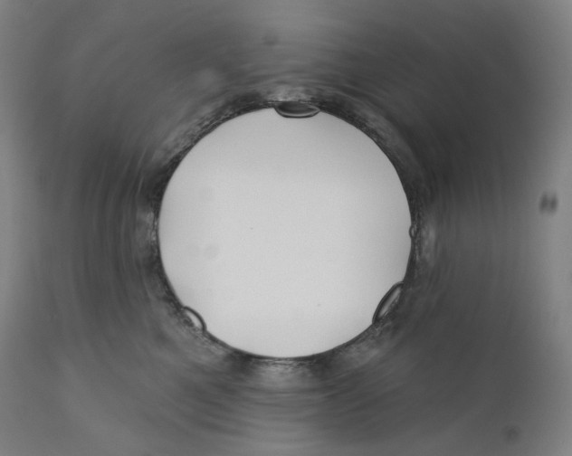 X0000110700521200907101224