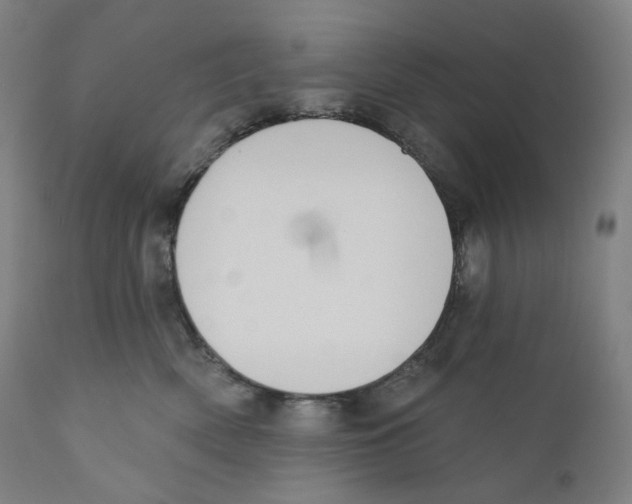 X0000110700522200907101224