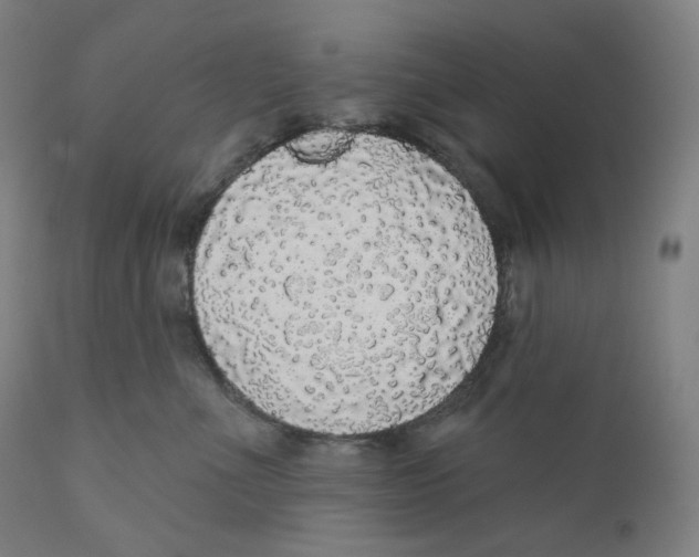 X0000110700523200907101224