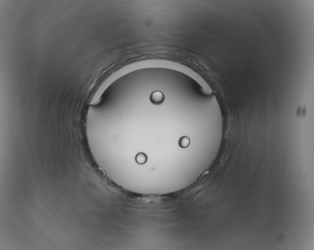 X0000110700524200907101224