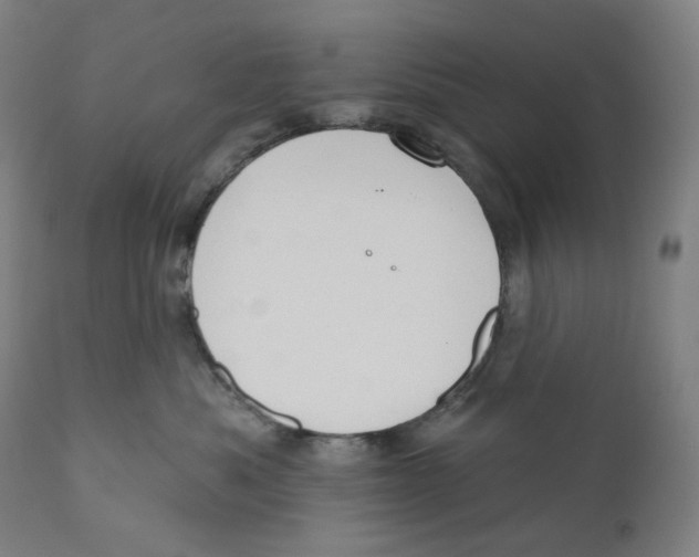 X0000110700525200907101224
