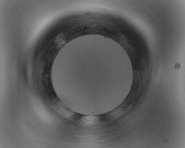 X0000110700526200907101224
