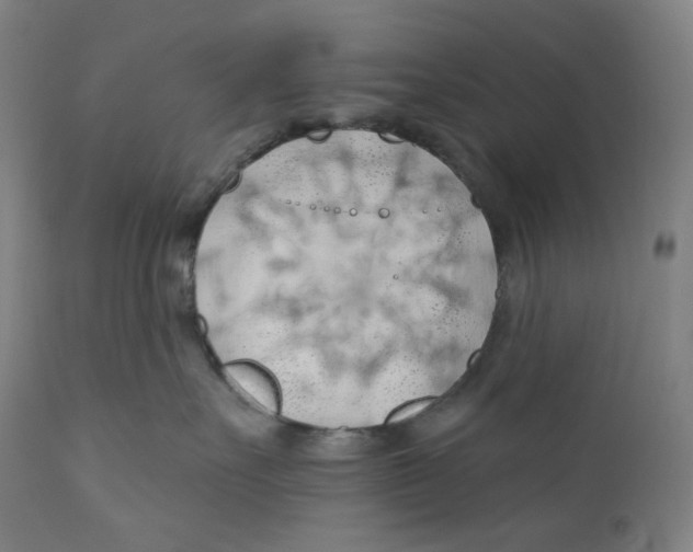 X0000110700527200907101224