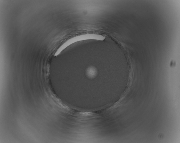 X0000110700528200907101224