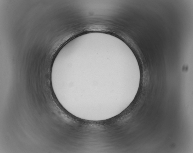 X0000110700529200907101223