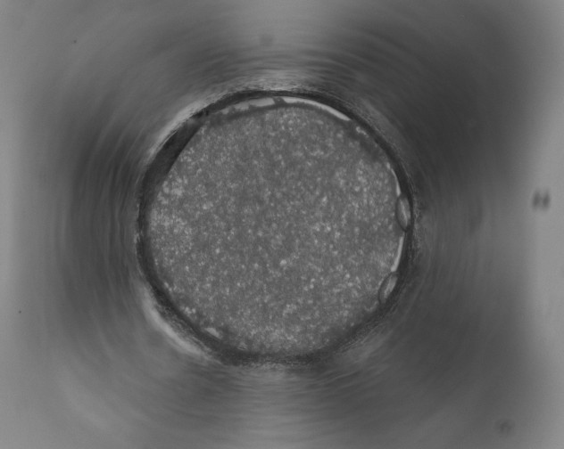 X0000110700530200907101223