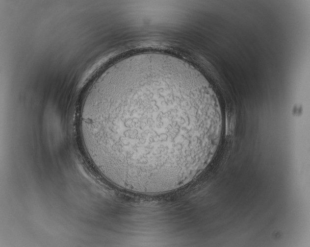 X0000110700531200907101223