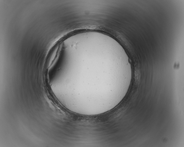 X0000110700532200907101223