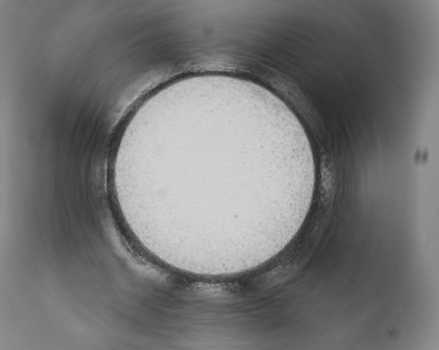 X0000110700534200907101223