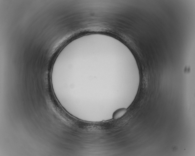 X0000110700535200907101223