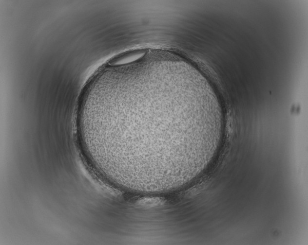 X0000110700536200907101223