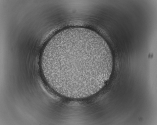 X0000110700538200907101223
