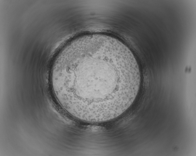 X0000110700539200907101223
