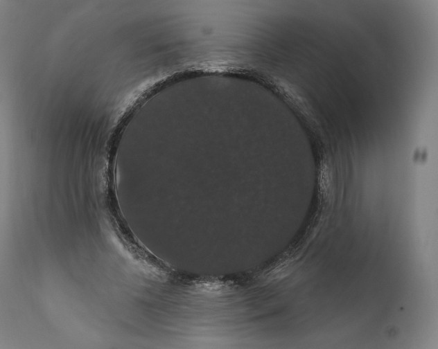 X0000110700540200907101223