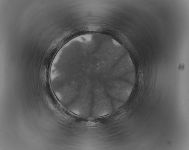 X0000110700542200907101223
