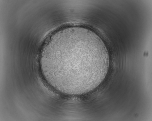 X0000110700543200907101223