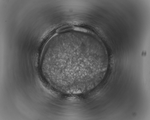 X0000110700544200907101223
