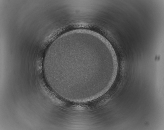 X0000110700545200907101223