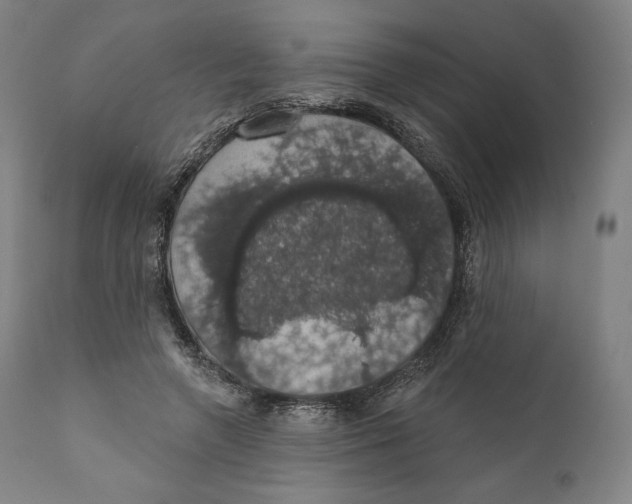 X0000110700546200907101223