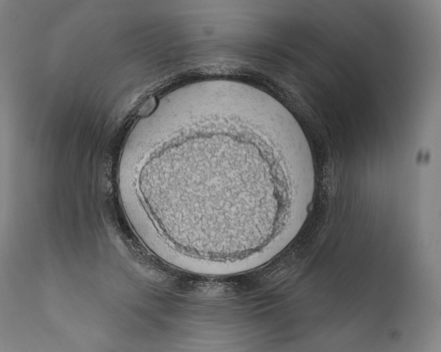 X0000110700547200907101223