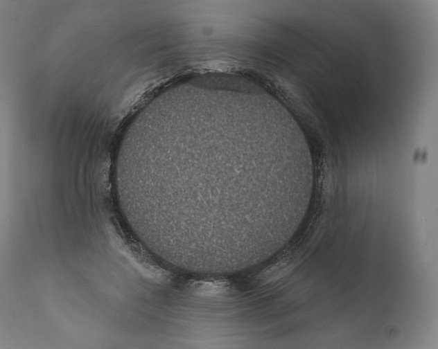 X0000110700548200907101223