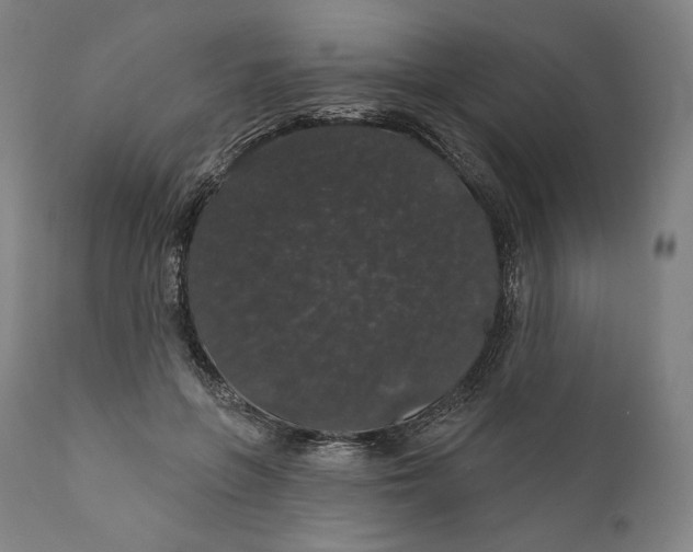 X0000110700551200907101223