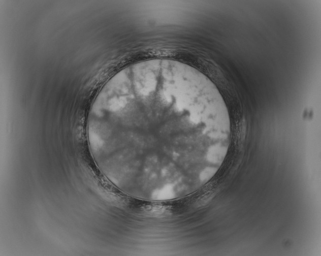 X0000110700553200907101223