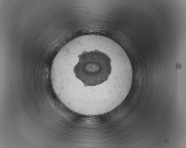 X0000110700555200907101223