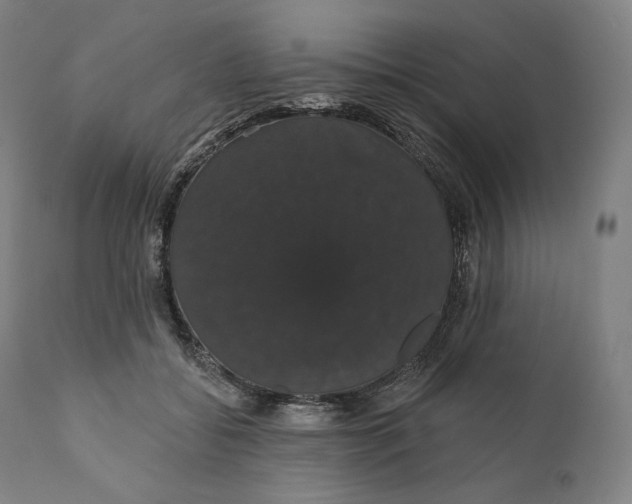 X0000110700556200907101223