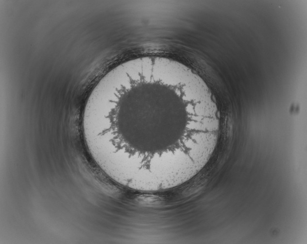 X0000110700557200907101223