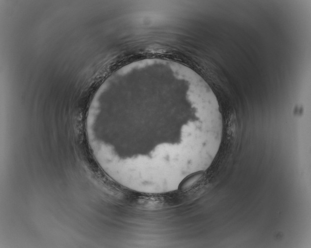 X0000110700559200907101223
