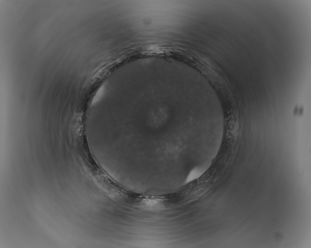 X0000110700560200907101223