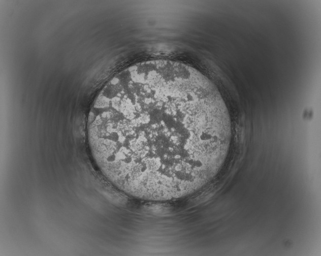 X0000110700561200907101223