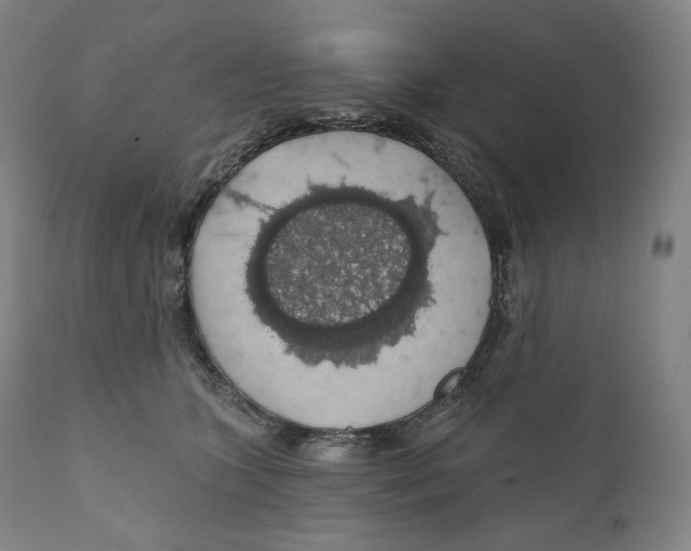 X0000110700563200907101223