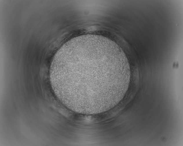 X0000110700565200907101223