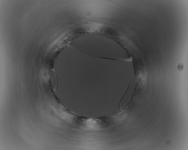 X0000110700566200907101223