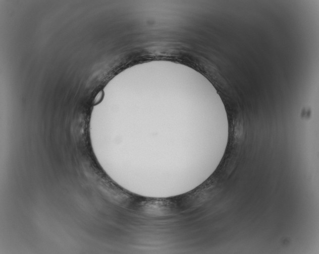 X0000110700567200907101223