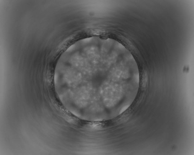 X0000110700569200907101224