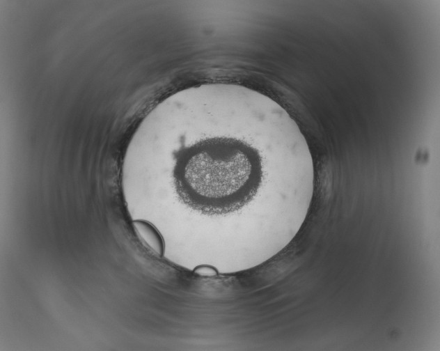 X0000110700571200907101224