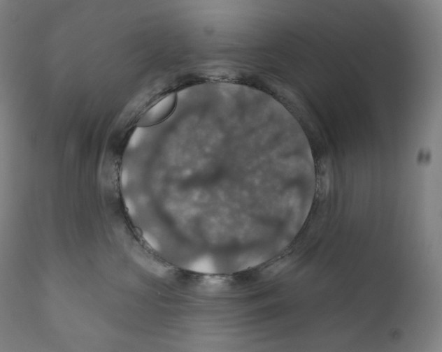 X0000110700573200907101224