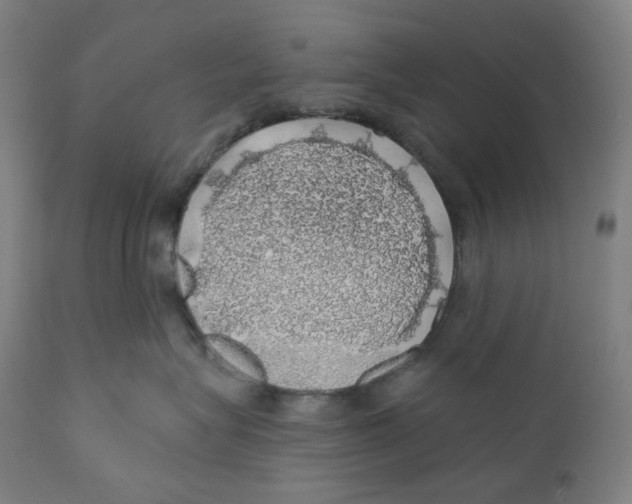 X0000110700575200907101224