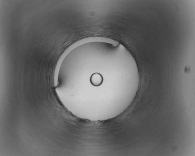 X0000110700576200907101224