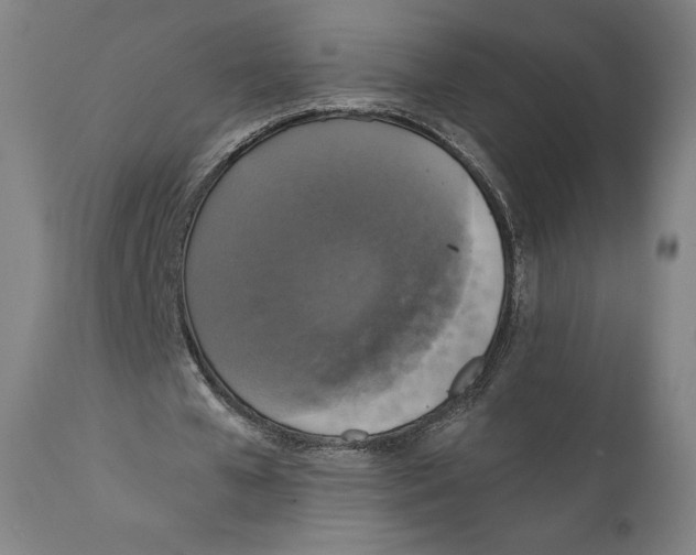 X0000110700577200907101223