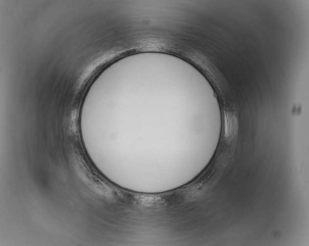 X0000110700579200907101223
